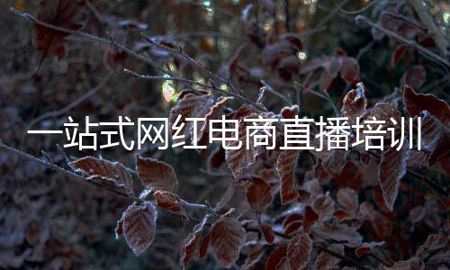 一站式网红电商直播培训，网红创业速成孵化营