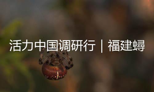 活力中国调研行｜福建蟳埔村：簪花如潮涌 古村焕新生