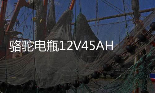 骆驼电瓶12V45AH适配长安之星面包车五菱宏光s东风小康汽车蓄电池