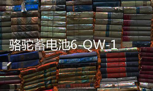 骆驼蓄电池6-QW-120适配拖拉机农用车挖掘机汽车电瓶 以旧换新