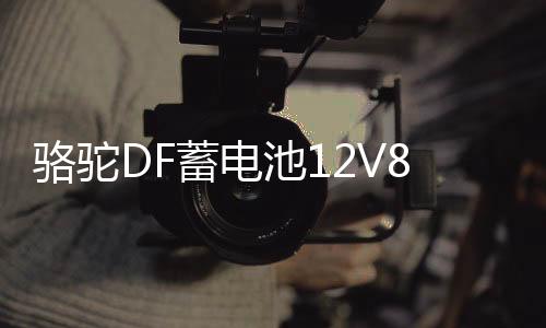 骆驼DF蓄电池12V80AH皮卡越野农用货车船挂机叉车1D汽车电瓶95D31